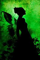 Little fairy