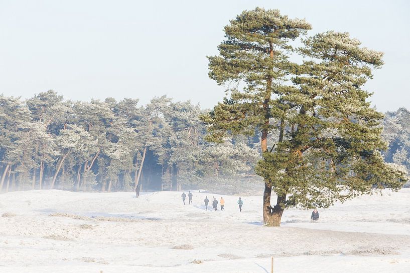 Winter on Heidestein estate, Utrecht Ridge by Peter Haastrecht, van