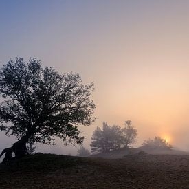 Zonsopkomst Beekhuizerzand van Eddy Westdijk