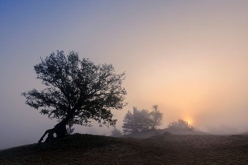 Sunrise Beekhuizerzand by Eddy Westdijk