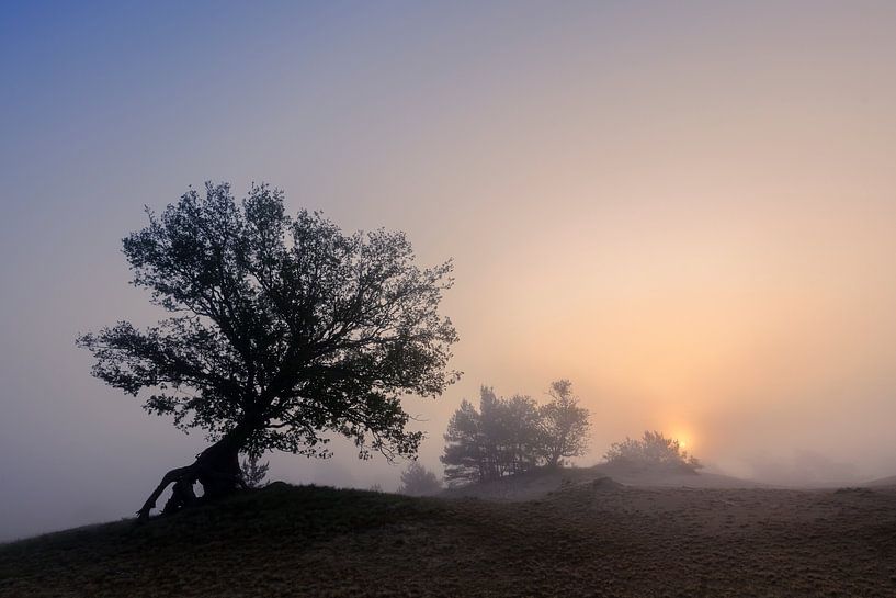 Sunrise Beekhuizerzand by Eddy Westdijk