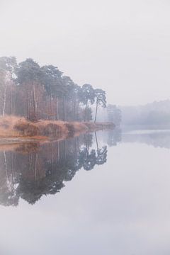Winterse reflectie met herfstkleuren in ven | Landschapsfotografie - Oisterwijkse Vennen van Merlijn Arina Photography