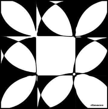 FIORE.NERO.1 van rita sacco