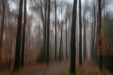 Stemmig herfstbos