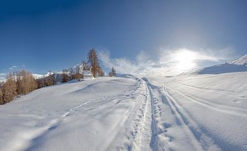 Sneeuwlandschap in de omgeving van Piz Val Müra, Zuoz, Oberengadin, Zwitserland van Rene van der Meer