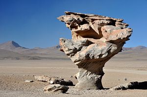 Der steinerne Baum: Natürliche Skulptur in der Wüste des Salar de Uyuni