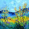 Sommerglanz von pol ledent