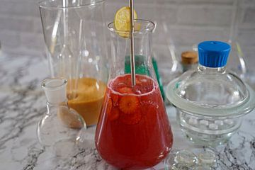 Cocktail Tonic au gin et aux fraises dans une flasque sur Babetts Bildergalerie