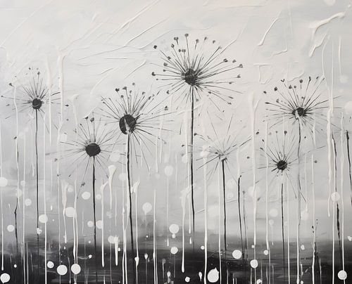 Temps calme : pissenlits en monochrome