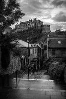 The Vennel