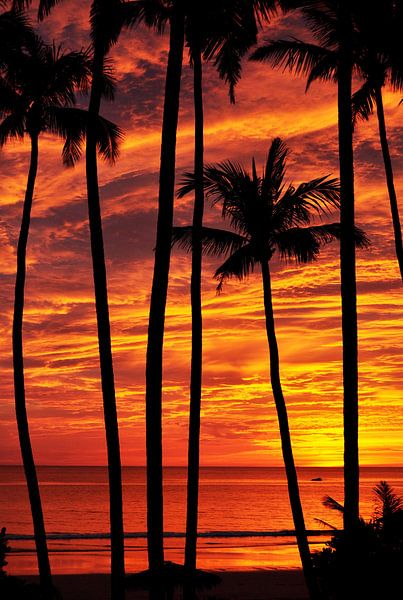 Sunset by Esther van der Linden