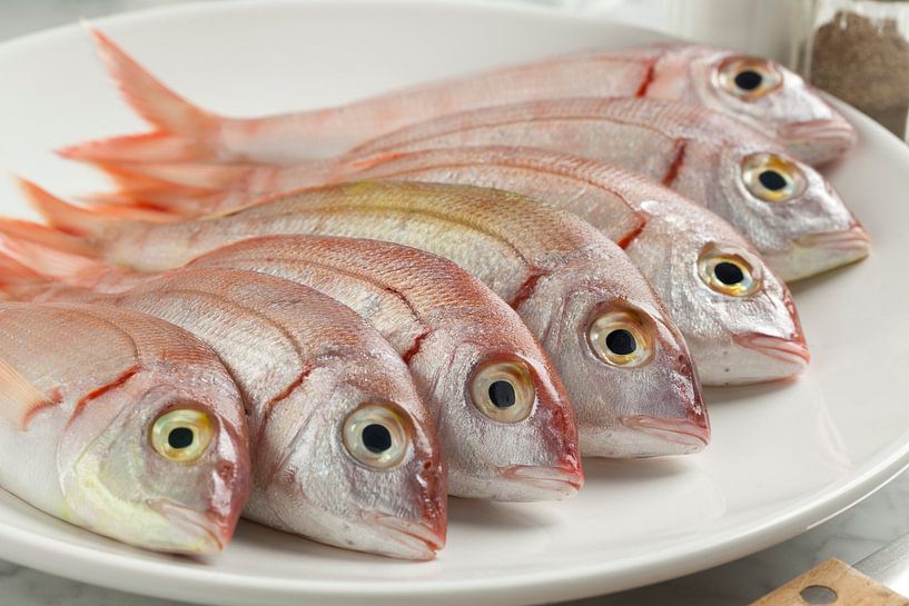 Schale mit frischem rohem Red Snapper Fisch von Frans Rombout