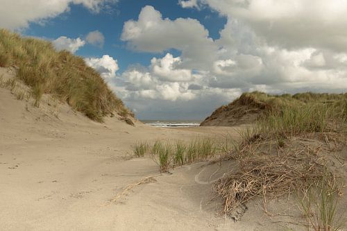 Ameland beach
