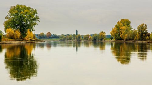 IJssel river near Voorst