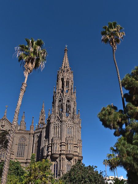 Cathedral of San Juan Bautista, Arucas by Timon Schneider