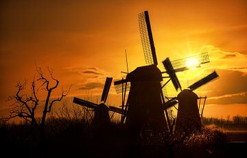 Windmühlen Kinderdijk von Ton de Jong