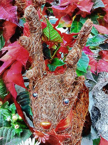 Roodneus rendier weergave