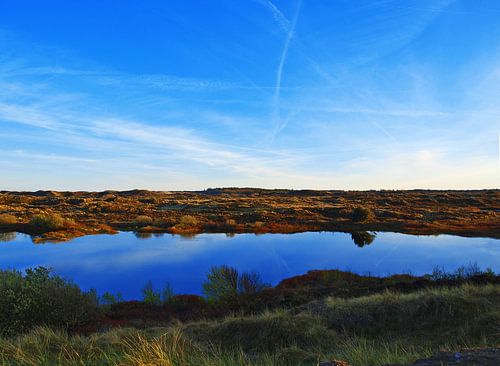 Duinmeertje, Terschelling 
