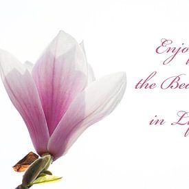 Genieße die Schönheit des Lebens von SW Arts