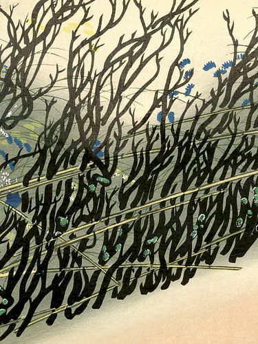 De kracht van de natuur