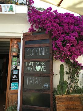 Eat Drink and Love Ibiza van Picture Jo