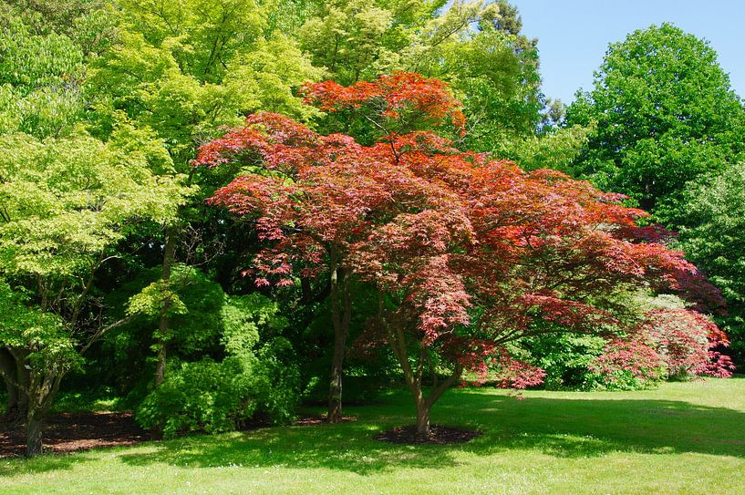 Im Park by Gabi Siebenhühner