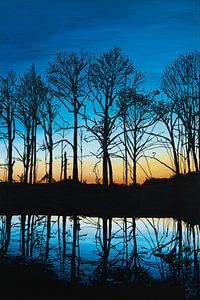 Peindre des arbres au lever du soleil