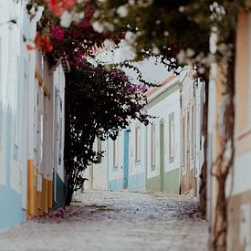 Rustic alley in Portugal by Kelly Vanherreweghen