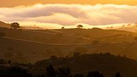 Sonnenaufgang in Andalusien