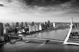 La ligne d'horizon de Rotterdam avec le pont Erasmus