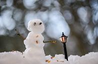 bokeh sneeuwman van Tania Perneel thumbnail