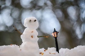 Bokeh Schneemann