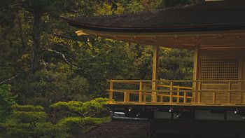 Golden temple - Dichtbij