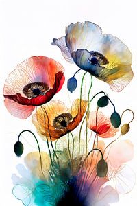 Fragile Mohnblumen in warmen Farben