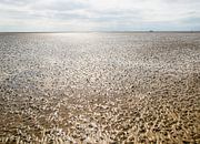 Waddenzee bij eb structuren in het zand van Brian Morgan thumbnail