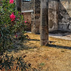 Ruin in Pompeii by Dennis Morshuis