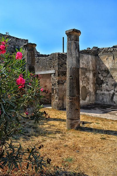 Ruine in Pompeji von Dennis Morshuis