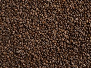 Grains de café - I