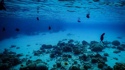 Die Ruhe unter der Oberfläche