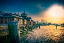 Germany, Hamburg, Elbe, Altona, fish market, auction, auction hall, fish auction hall by Ingo Boelter