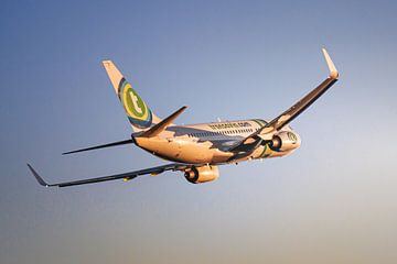 Transavia Boeing 737 'sigarenband' zoekt het luchtruim op van Maxwell Pels