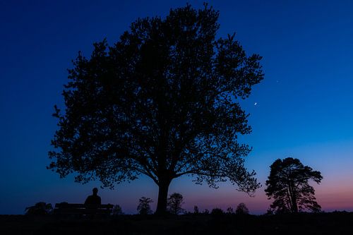 When the day turns into night