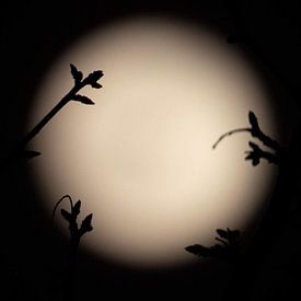 Erik Baksteen photo de profil