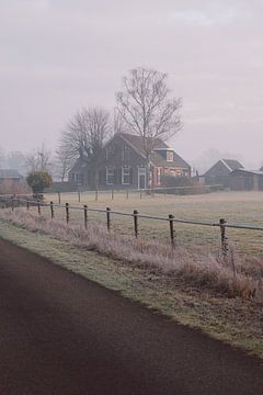 Farmhouse in the winter morning sun