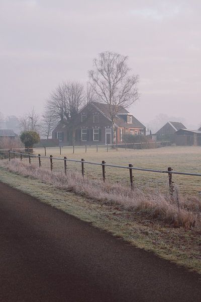 Farmhouse in the winter morning sun by Robin van Steen