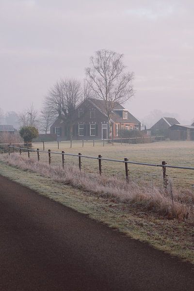 Ferme sous le soleil d'hiver par Robin van Steen