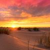 Magnifique coucher de soleil dans les dunes de Texel sur Rob Kints