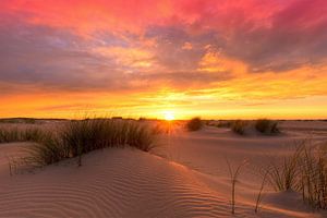 Magnifique coucher de soleil dans les dunes de Texel