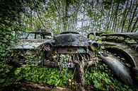 Wald mit alten Autos von Inge van den Brande Miniaturansicht