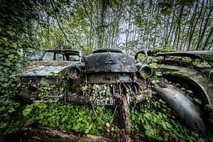 Forêt avec de vieilles voitures sur Inge van den Brande